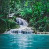 dailyhealingvibes00
