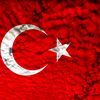 aliozay8