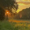 _nada_326