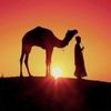 saudiali6