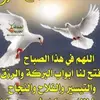 mohamedsalm4352
