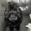 kkerrycconroy