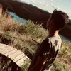 kaih_4