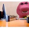 potatotimes523