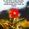 m.ae.pe
