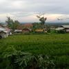dhocilll_027