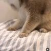 ttzz138