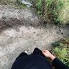 farokhi_