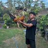 angga_farm47
