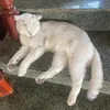trannguyencool
