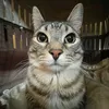 raza_0124