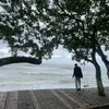 life_withpauie
