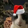 cutiepatotiehh