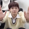 숭어