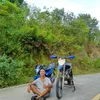 Don_omar19
