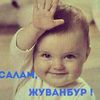 _50nicat