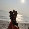 wtrmln003