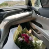 hevi.baarzanii