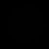 sasa_a55
