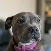 travis1maya2