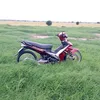 nguyenka444