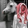 اليامي ٩١١/#