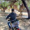 Ibrahimr