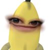 nissyu____
