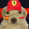 the_f1fan29