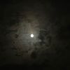 shod_115