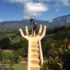 reydacillo0