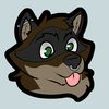 hudsonraccoon