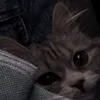 tranthanhduy_06