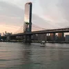 nyp.897