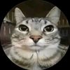 _misashi.10