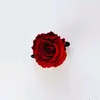 user588088131966