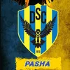 p4sha.x6
