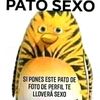 p0rn0.d3.b3b3s