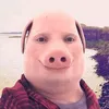 ytpxsyn