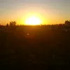 hafidaedd