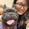 mr.ferdinandthebulldog