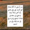 selah553