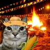 lucas_7643