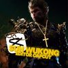 sunwukong_wis44