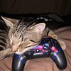 z0mbaebae