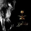 abdulaziz..506