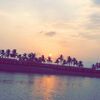 shosho05579