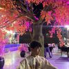 omarwael327