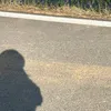 nananaa2_