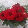 user5285618001661